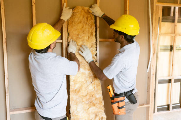 Trusted Palmer, AK Insulation Experts